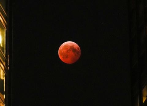 Eclipse lunar total: La explicaci&oacute;n cient&iacute;fica de la Luna de Sangre