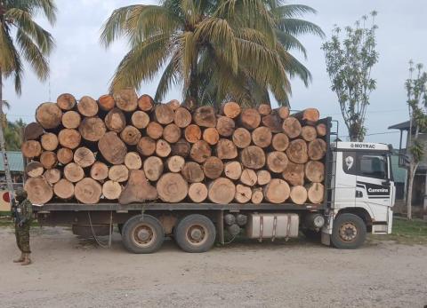 Madera ilegal en Taisha: decomiso militar destapa m&aacute;s operativos en Amazon&iacute;a