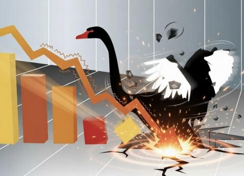 An&aacute;lisis Estrat&eacute;gico | Minicisne negro: aranceles y reputaci&oacute;n