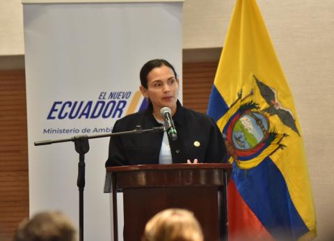 D&eacute;ficit el&eacute;ctrico y apagones en Ecuador: el Gobierno contradice su propio discurso