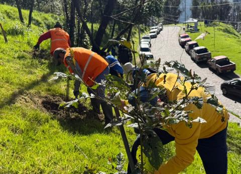 Megaminga interviene las zonas afectadas por incendios forestales en Quito