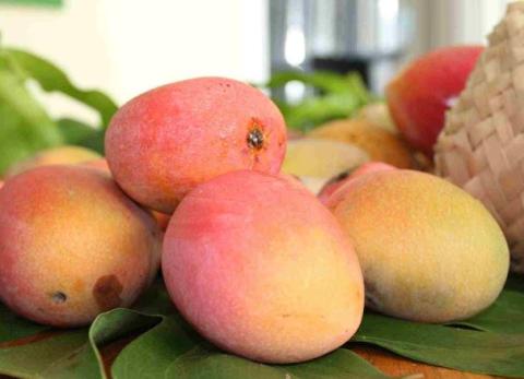 Frutas ecuatorianas en EE. UU.: c&oacute;mo cambia el precio del banano, pi&ntilde;a y mango