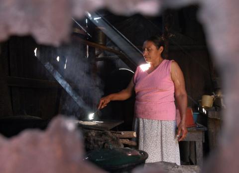 Energ&iacute;a limpia: liderazgo silencioso en Am&eacute;rica Latina y el Caribe