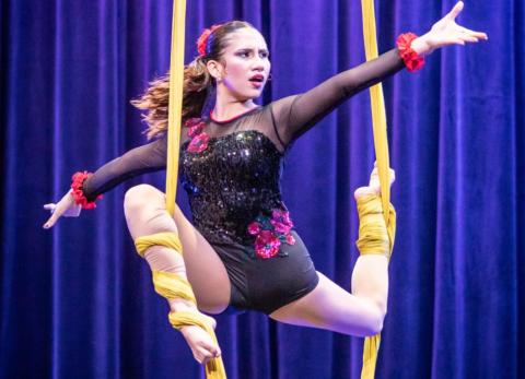 Arte a&eacute;reo ecuatoriano alcanza reconocimiento mundial en Las Vegas