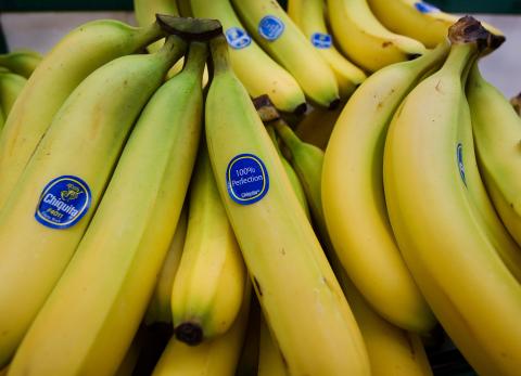 El conflicto en Medio Oriente reduce el env&iacute;o de banano ecuatoriano al extranjero