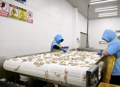 Ecuador creci&oacute; 3,7% en 2025: por qu&eacute; la gente no siente la recuperaci&oacute;n econ&oacute;mica