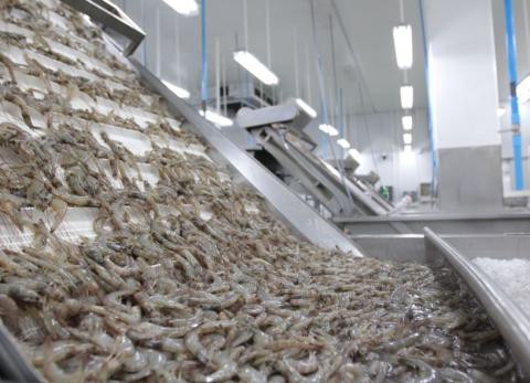 La inversi&oacute;n extranjera directa en Ecuador alcanz&oacute; los $1.299 millones en 2025