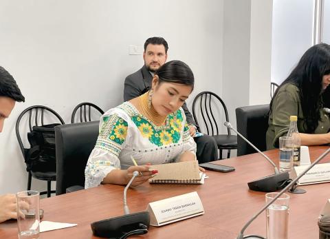 Dina Farinango inicia fiscalizaci&oacute;n al SRI por IVA del 15% en productos b&aacute;sicos