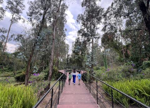 Bosque de Cumbay&aacute;, un pulm&oacute;n en medio del 'boom&acute; inmobiliario