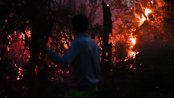 incendios forestales Patagonia
