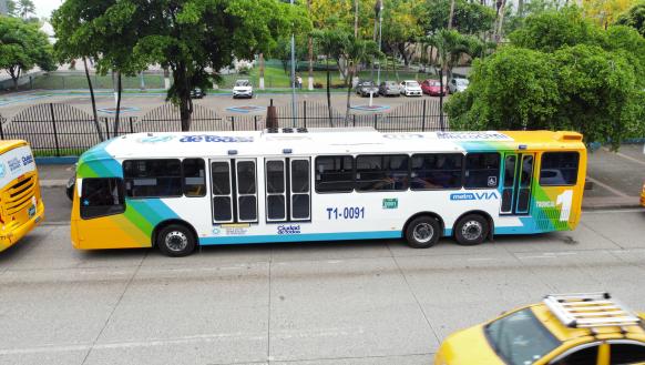 Buses de Metrovía