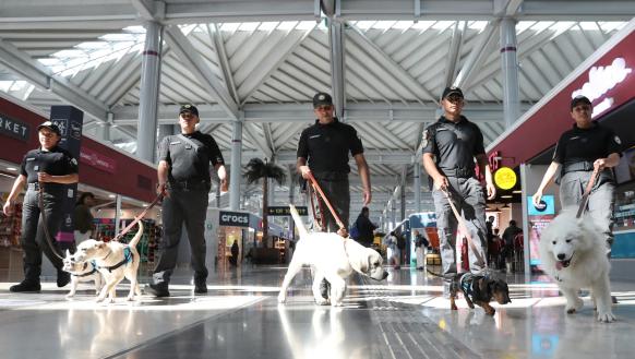 Mundo, aeronáutica, México, Mascotas