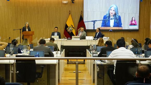 concejo metropolitano de Quito