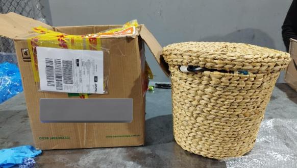 Decomiso drogas Quito