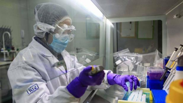 coronavirus referencial laboratorio china