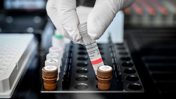 En una segunda parte del estudio, el equipo de investigación también analizó cerca de 2.000 mutaciones que han surgido en el SARS-CoV-2 desde el inicio de la pandemia.