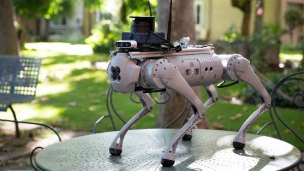 perro robot