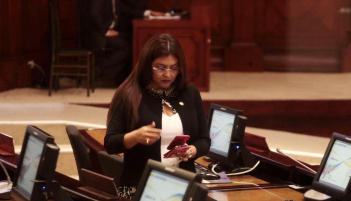 sofía espín exasambleísta correísta