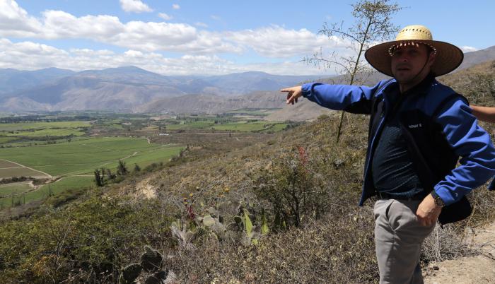 yachay proyecto siembre cosecha cannabis