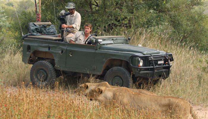 Safari virtual durante coronavirus