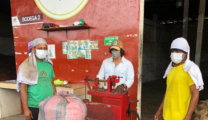 precio+productores+cacao+agricultores