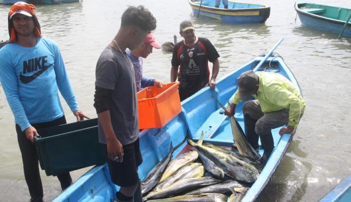 pesca