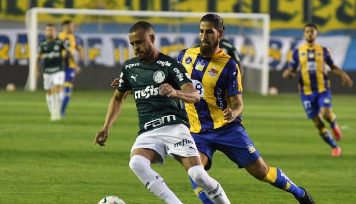 Delfín-Palmeiras