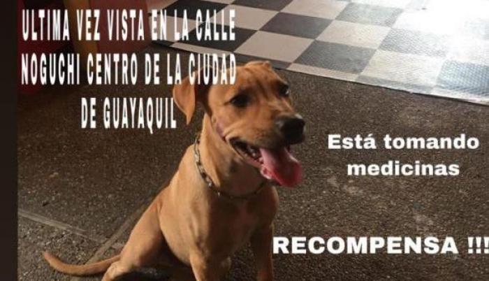 Fundación