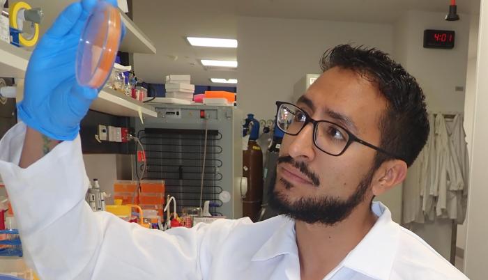 Fernando Gordillo_Investigador_Resistencia a antibióticos