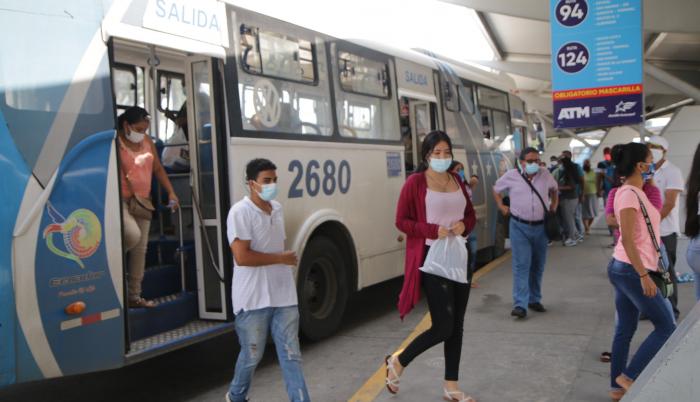 buses coe