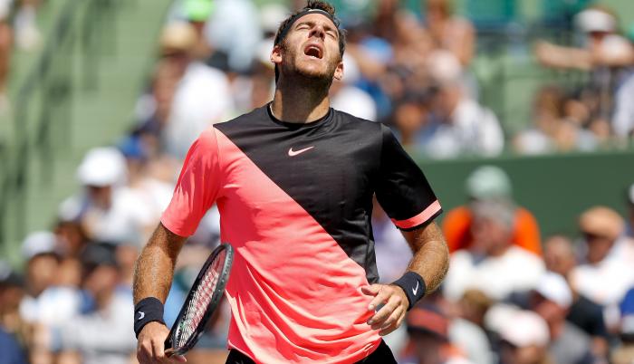 Juan Martín del Potro tenis Argentina