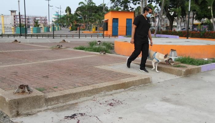 BALACERA EN DURAN (7603924)