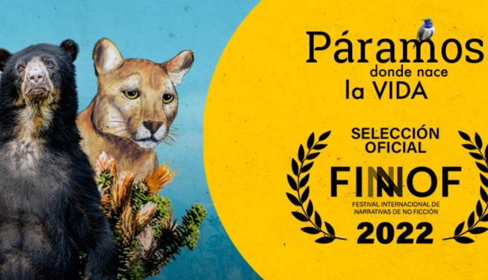 Producida por el Departamento de Cultura Científica de la UTPL, está entre las cuatro finalistas de la categoría Serie Web del Festival Internacional de Narrativas de No Ficción (FINNOF), indicó la Universidad en un comunicado.
