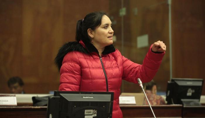 MIREYA PAZMIÑO EN LA ASAMBLEA NACIONAL