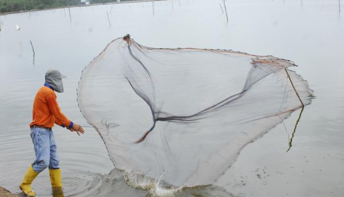 Camarones