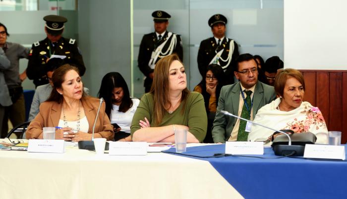 Juicio político María Paula Romo