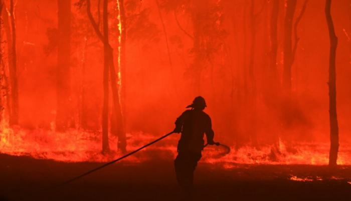Incendio forestal en Australia