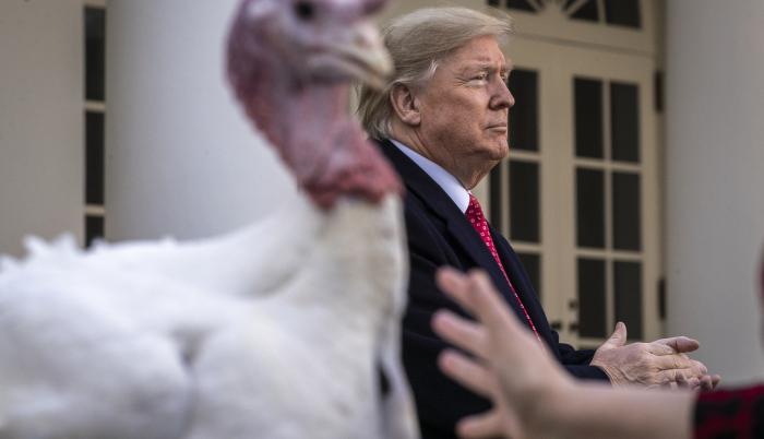 donald trump burla video