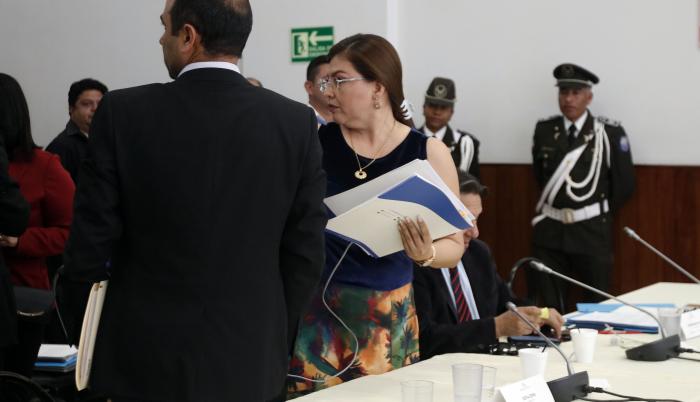 Destitución de Sofía Espín