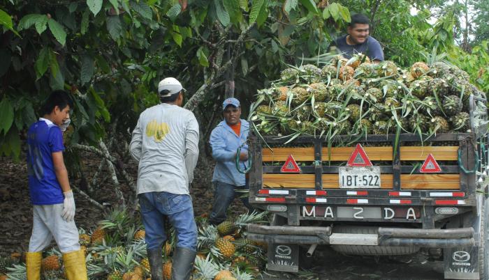 canadá chile exploración comercial