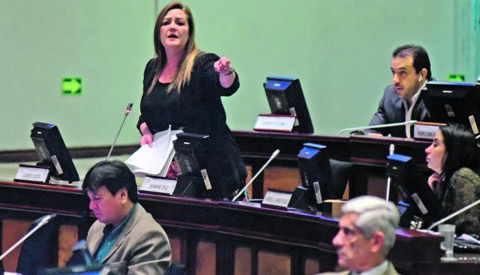 Asambleista Lourdes Cuesta