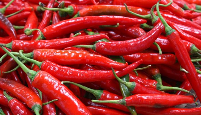 chili-pepper-3923393_960_720