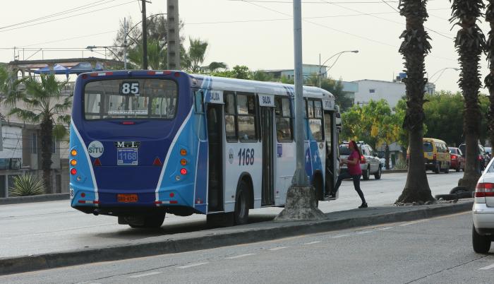bus.jpg