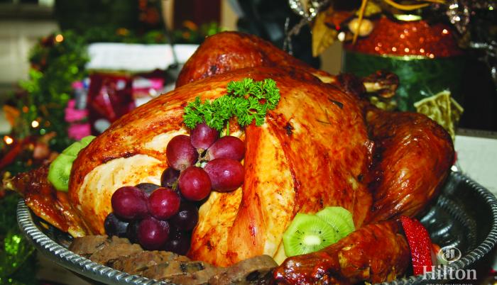 pavo (1)