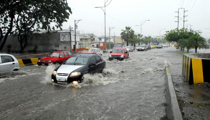 LLUVIA NELSON
