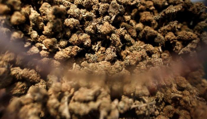 Muestra de cannabis en el 'Cannabisexpo 2020'.