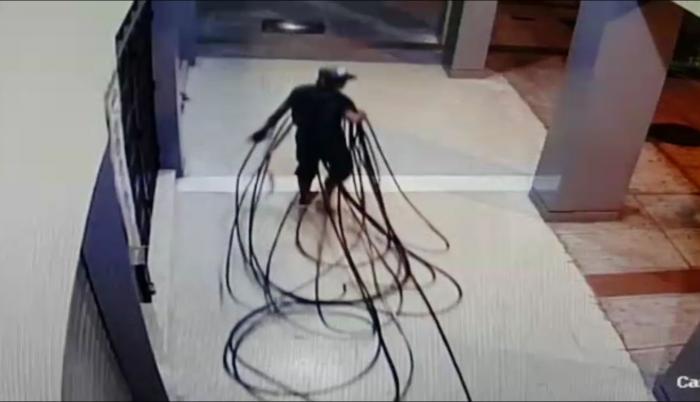 Oro de los recicla