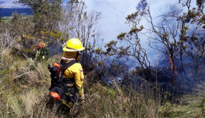 BOMBEROS QUITO.JPG