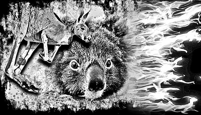australia