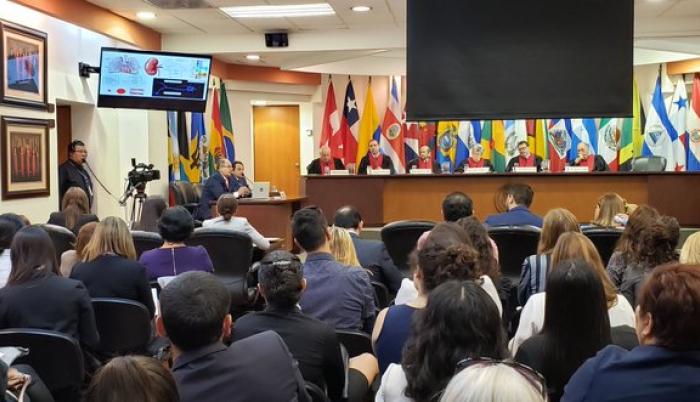 Corte IDH. Caso Paola Guzmán Albarracín. Enero 2020.